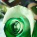 Profile Picture of Luis Encalada (@luis.encalada.739) on Facebook