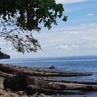 Profile Picture of Jerry Novack (@jerry-novack-2) on Quora