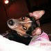 Profile Picture of Calvin Baumgart (@calvin.baumgart) on Facebook