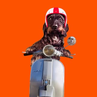 Profile Picture of Andrew Godfrey (@andrew_godfrey) on Instagram