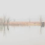 Alice Venditti - Facebook Profile Picture of Alice Venditti (@alice.venditti) on Facebook