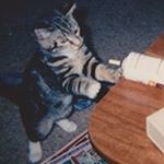 Profile Picture of Robert Jochim (@rjjochim) on Instagram