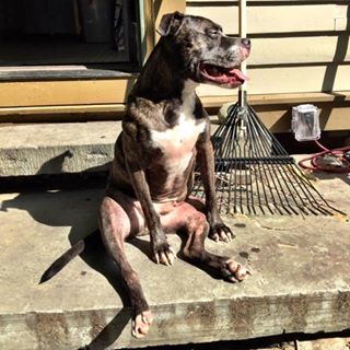 Profile Picture of Phillip Anderson (@jphillipanderson) on Facebook