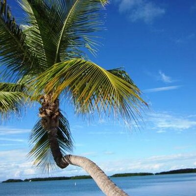 Profile Picture of Matt Kott (@mattfkott) on Twitter