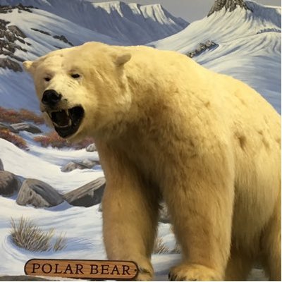 Profile Picture of Larry Northrup (@northrup_larry) on Twitter