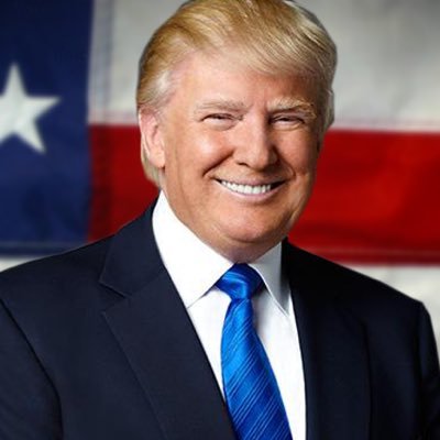 Profile Picture of TrumpPence2020 (@YingLiuHe) on Twitter