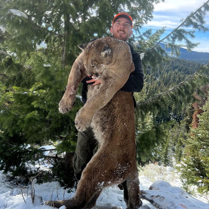 Profile Picture of David Frederick (@dfredbear94) on Tiktok