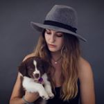 Her Name Is Ava - Instagram Profile Picture of Her Name Is Ava (@diaryof.a.bordercollie) on Instagram