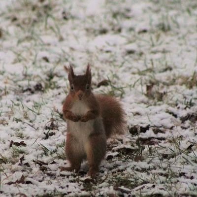 Profile Picture of Jane Gray (@JaneBroadribb73) on Twitter