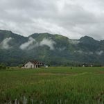 Profile Picture of Jacky Zxmon Zkorn (@jackyalfathir) on Instagram