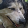 Profile Picture of Steven Frederick (@@stevenfrederick) on Tiktok
