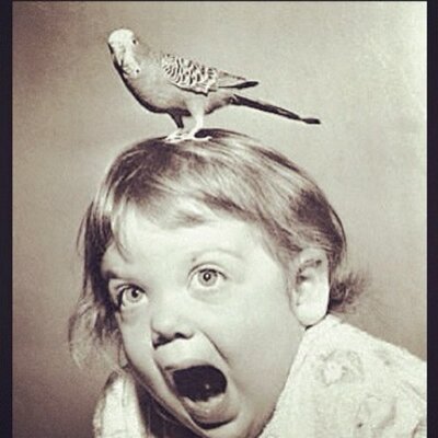 Profile Picture of Jessie Pappas (@@jlojezz) on Twitter