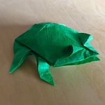 Profile Picture of Alexander Calhoun (@aorigami12) on Flickr