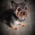 Profile Picture of Robert Jeffries (@robert.jeffries.779642) on Facebook