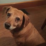 Profile Picture of Jacob Clinton (@jacob_clinton02) on Instagram