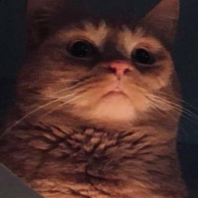 Profile Picture of Travis Sharp (@darkspacedev) on Twitter