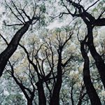 Profile Picture of Eddie Rasmussen (@royalhighnessjen) on Instagram