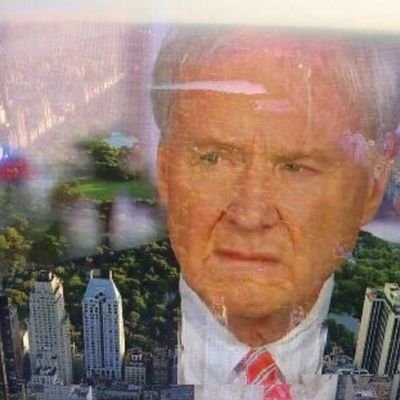Profile Picture of Central Park Welcome Committee (@HornballChris) on Twitter