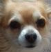 Profile Picture of Janet Toal (@janet.toal.520) on Facebook