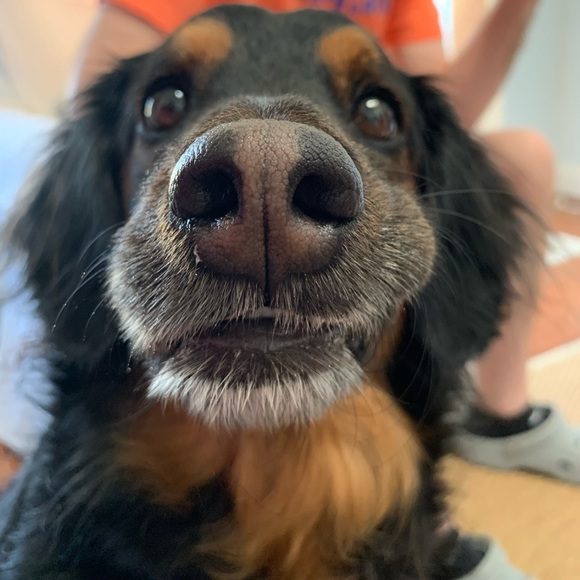 Profile Picture of Alexy Jockel (@flinney43) on Poshmark