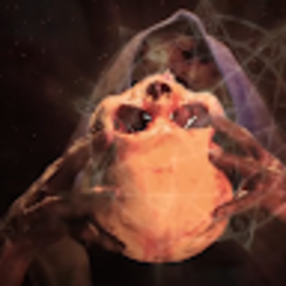 Profile Picture of Joseph Salas (@josephsalas819) on Poshmark