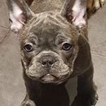 Profile Picture of James Collard (@jambocollard) on Instagram