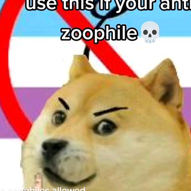 Profile Picture of Clay Caldwell (@a_idiotic_boy) on Tiktok