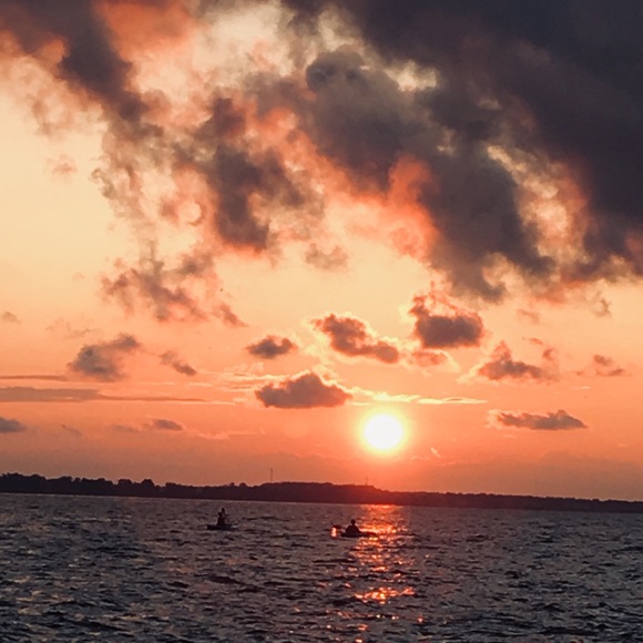 Profile Picture of Willow Schario (@willow8172) on Poshmark