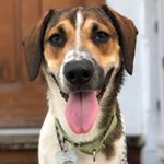 Profile Picture of Beasley (@maxumbeasley) on Instagram