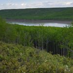 Profile Picture of Craig McKelvie (@mckelvie_craig) on Instagram