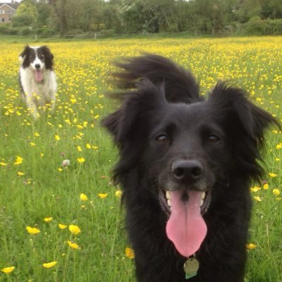 Profile Picture of Andy Greening (@AndyGreening007) on Twitter