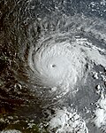Profile Picture of Hurricane Irmaon Wikipedia