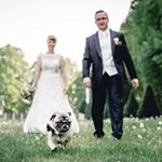 Profile Picture of Peter Jeschke (@_peterjeschke) on Instagram