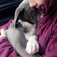 Profile Picture of Lisa Giese (@lisa-giese-3) on Quora