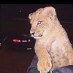 Profile Picture of M'aria M'unoz (@Maria-Munoz) on Facebook