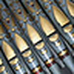 Profile Picture of Jeffrey Adams (@adamsrj0875) on Flickr