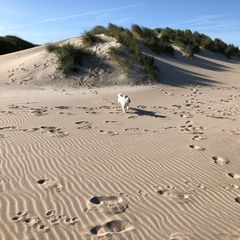 Profile Picture of richardquestto0 (@richardquestto0) on Tiktok