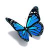 Profile Picture of Anne Lowe (@@unknownbutterfly0424) on Tiktok