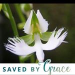 Profile Picture of Joyce Roberts-Parker (@joby8863) on Instagram