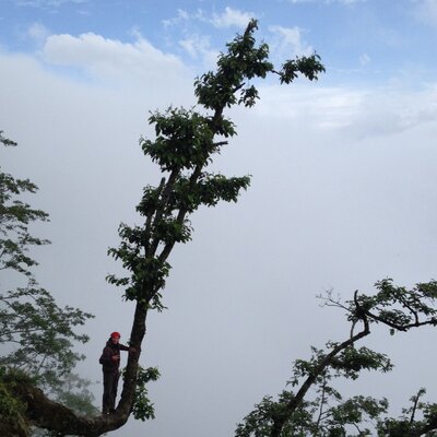 Profile Picture of Patrick McClure (@pmcC16) on Twitter