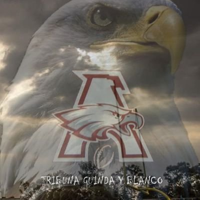 Profile Picture of David Clemente López (@CdkDelfin) on Twitter