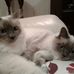 Profile Picture of Hazel Burrows (@hazel.burrows.7505) on Facebook