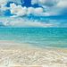 Profile Picture of Samer Mattar (@mattar0457) on Pinterest