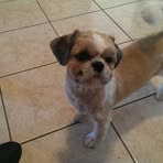 Profile Picture of Roberto Corradi (@Roberto-Corradi) on Facebook