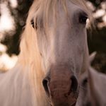 Profile Picture of Florence Dufour (@florence.duff16) on Instagram