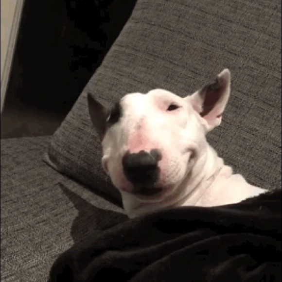 Matthew Cummings - Poshmark Profile Picture of Matthew Cummings (@neonzen) on Poshmark