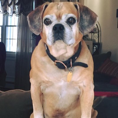 Profile Picture of Kim Caputo (@KimCaputo4) on Twitter