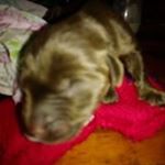 Yolanda Vera - Instagram Profile Picture of Yolanda Vera (@yolanda.vera.315) on Instagram