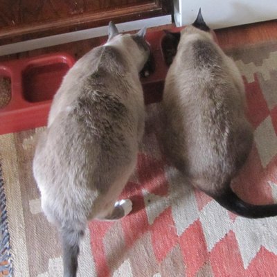 Profile Picture of David Gillett (@ardslok46) on Twitter