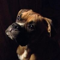 Profile Picture of Steve Toth (@steve-toth-34) on Quora